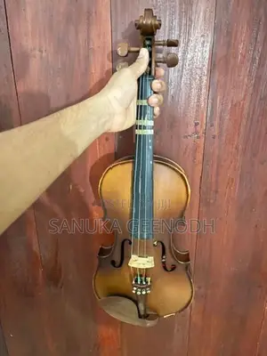 Violin