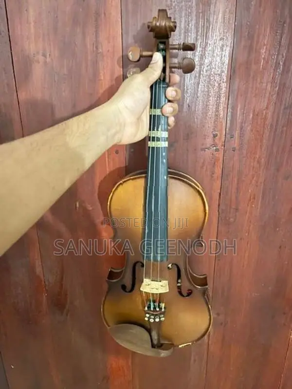 Violin