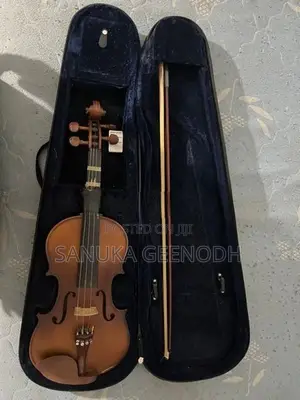 Violin