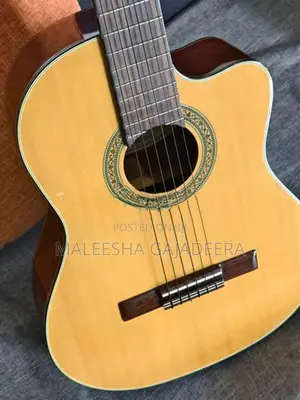 Japan Handmade Guitar