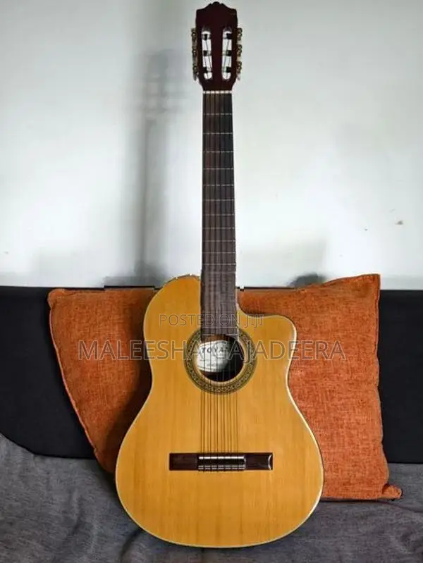 Japan Handmade Guitar
