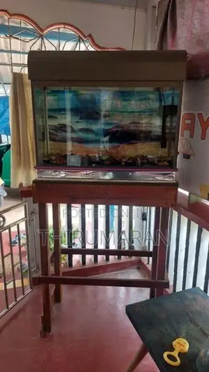 Fish Tank With Stand