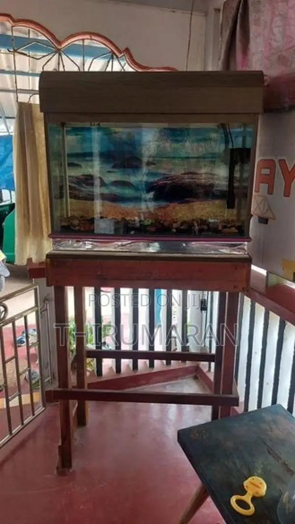 Fish Tank With Stand