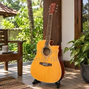 Spring Large Box Guitar