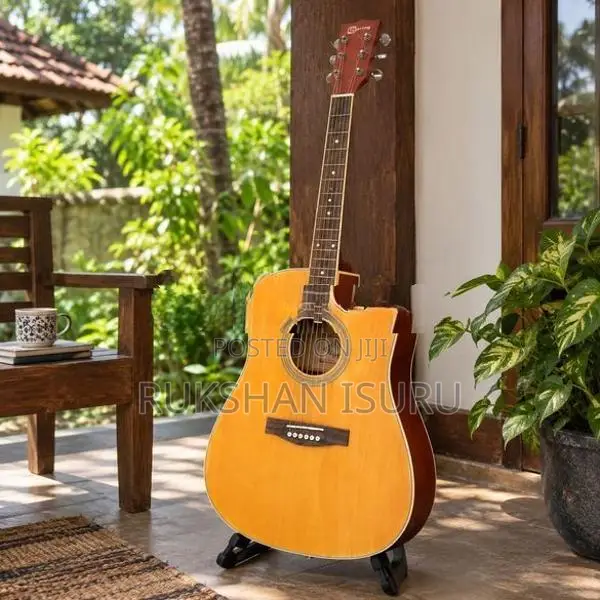 Spring Large Box Guitar