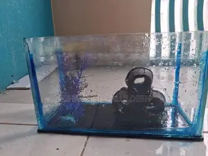 Fish Tank