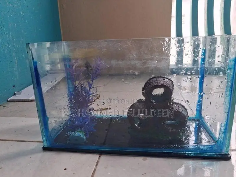Fish Tank
