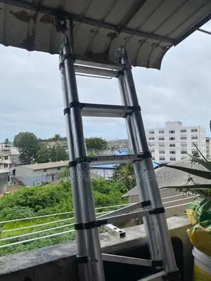 Telescopic Ladder