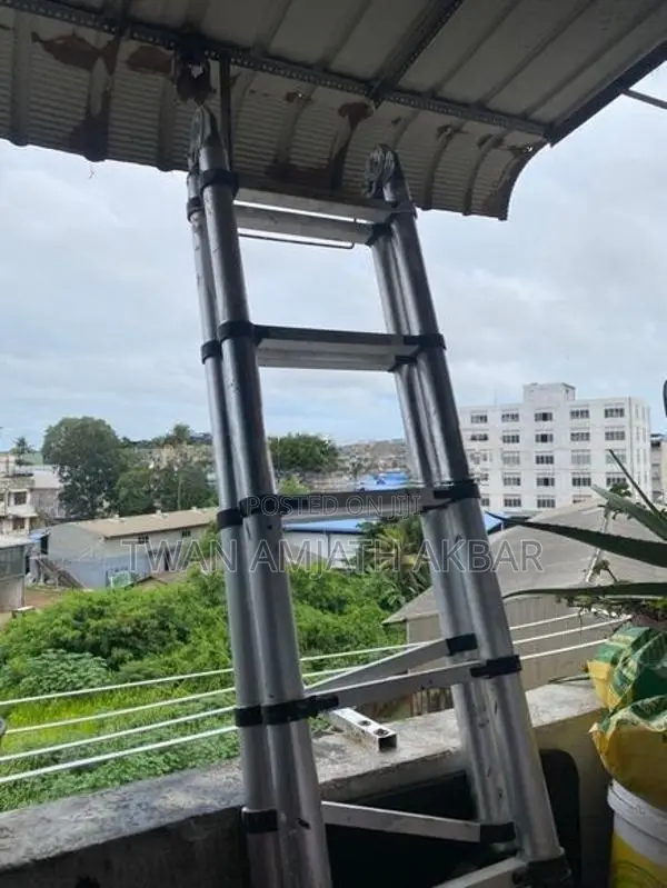 Telescopic Ladder