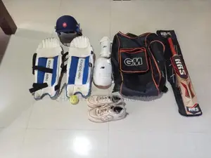 Cricket Set