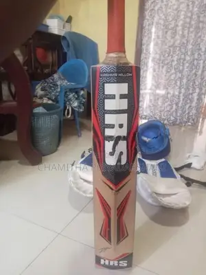 Cricket Set