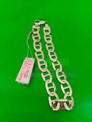 Silver Chain 20.1 G