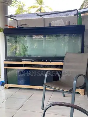 Fish Tank