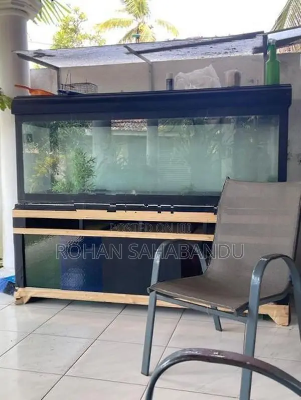 Fish Tank