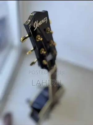 Ibanez EW20WNE Semi-Acoustic Guitar