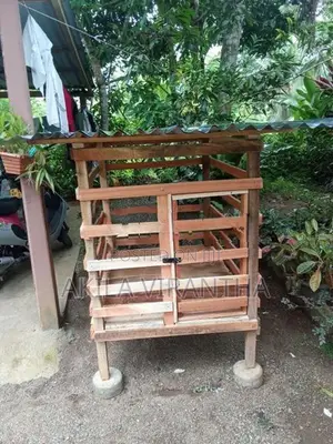 Dog Cage