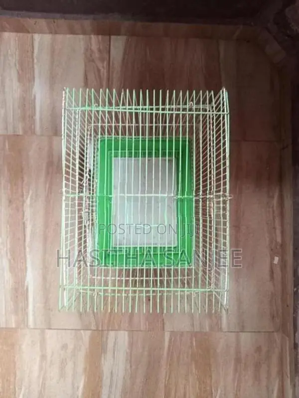 Small Bird Cage