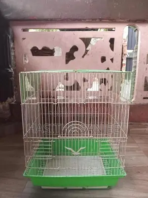 Small Bird Cage