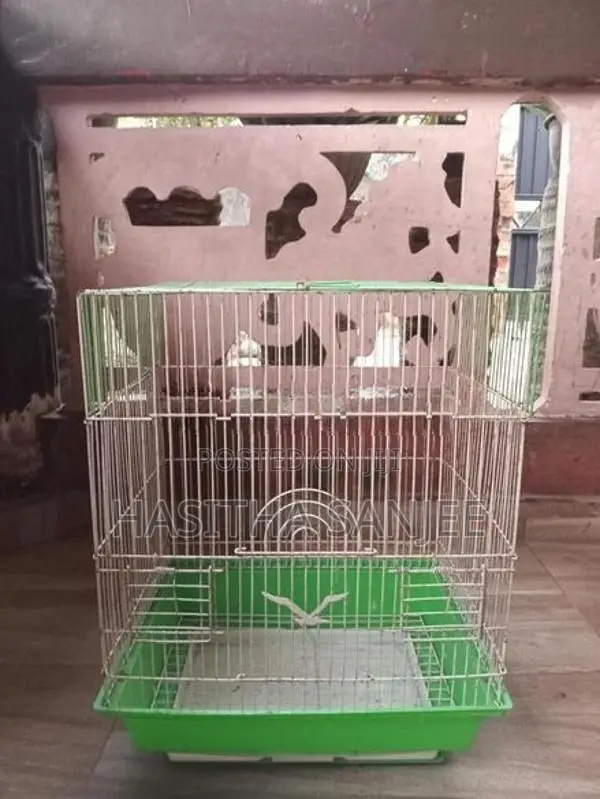 Small Bird Cage