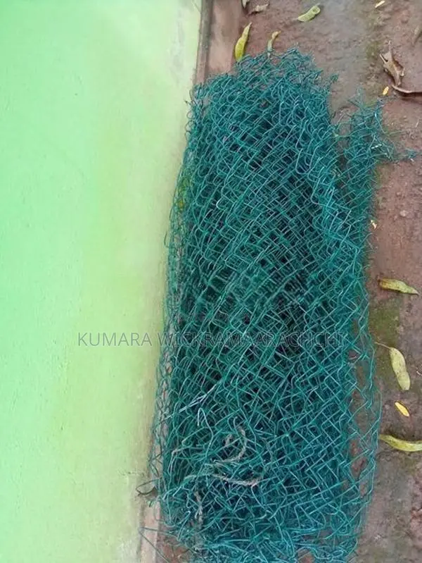 වටදැල්