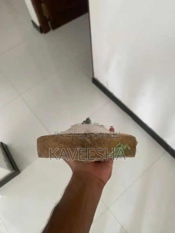 Cricket Bat