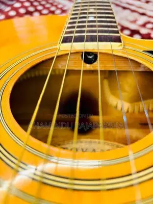 Toyoma Japan Used Acoustic Guitar