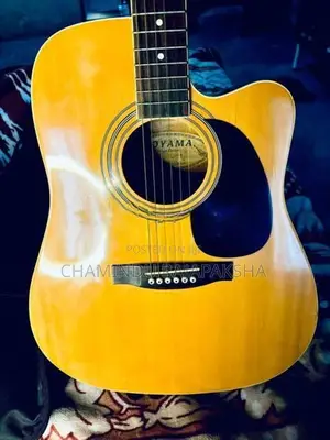 Toyoma Japan Used Acoustic Guitar