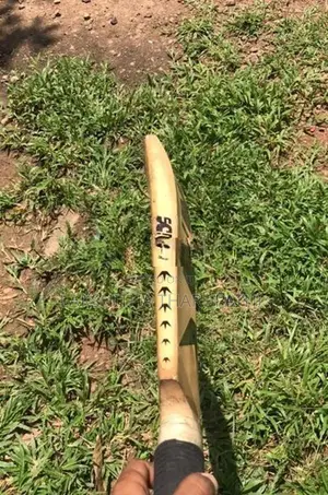 Lether Bat