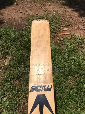 Lether Bat