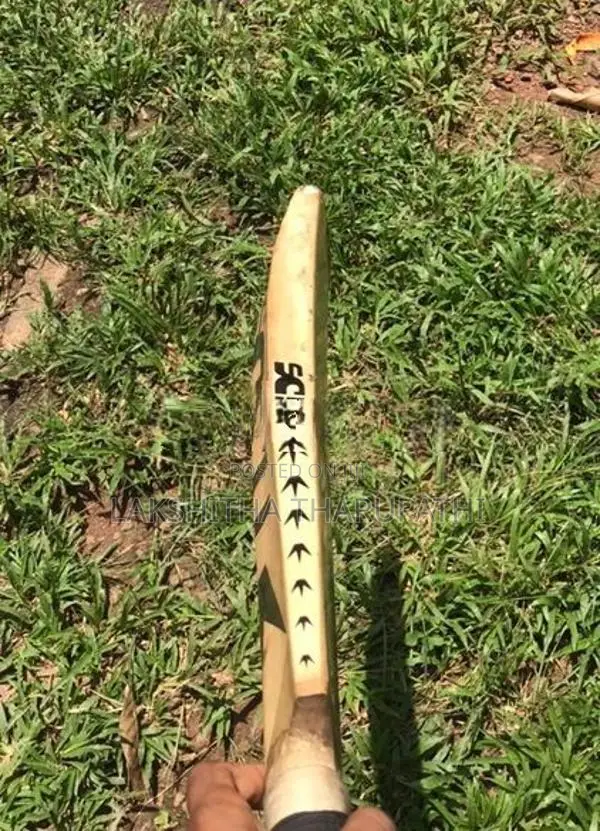 Lether Bat