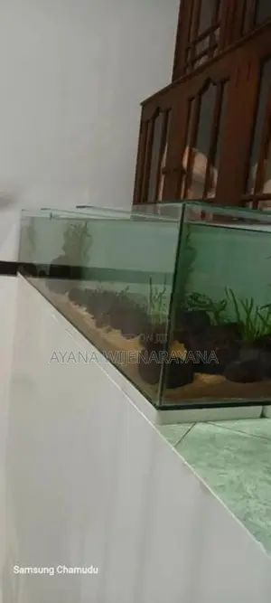 Fish Tank