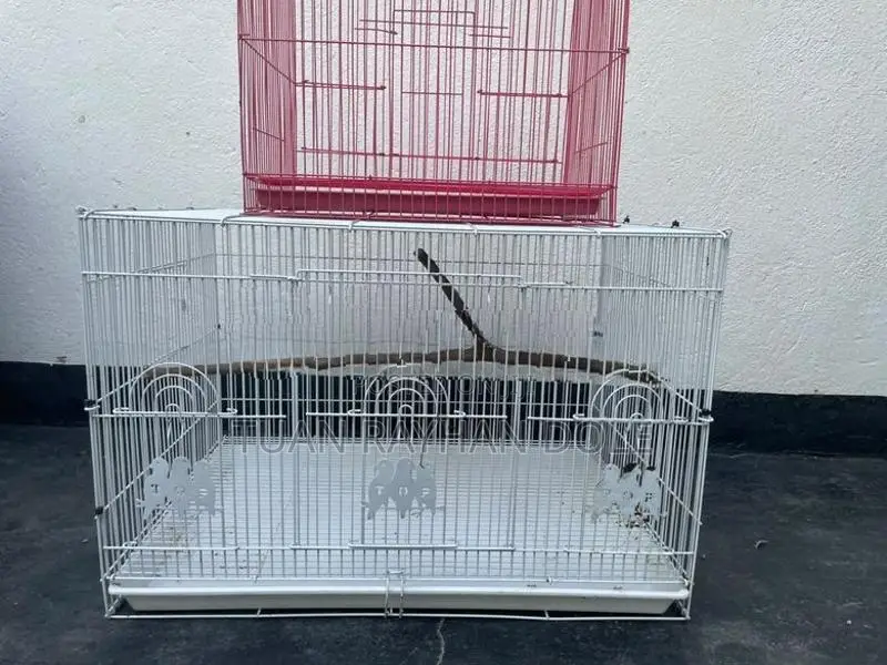 Imported Bird Cages