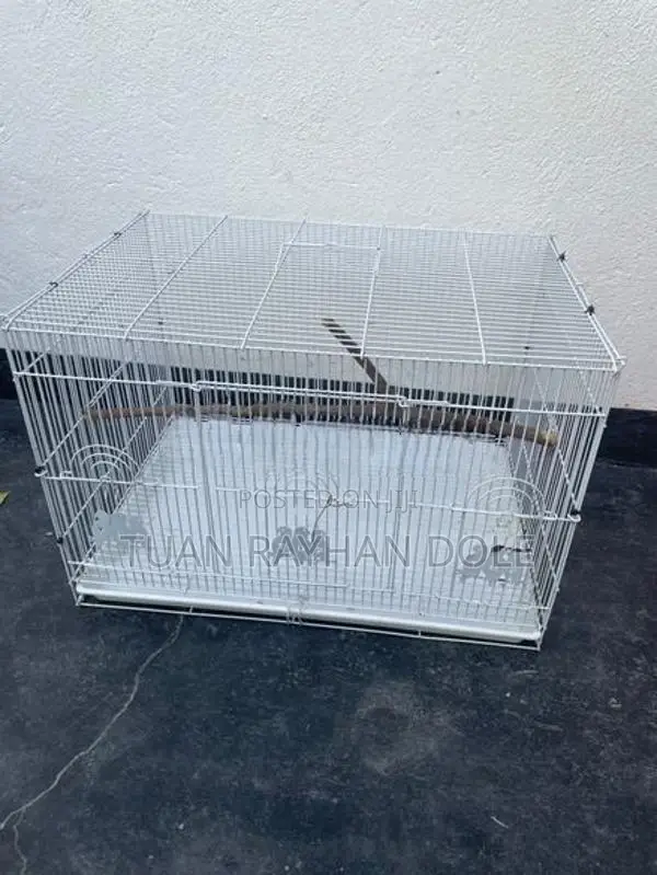 Imported Bird Cages