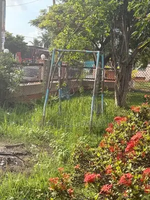 Outdoor Garden Swing