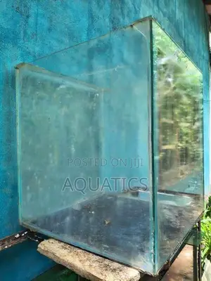 Fish Tank