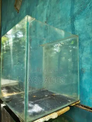 Fish Tank