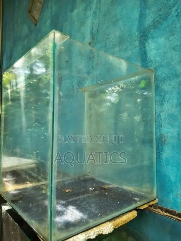 Fish Tank