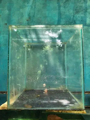 Fish Tank
