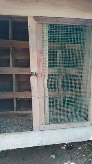 Bird Cage