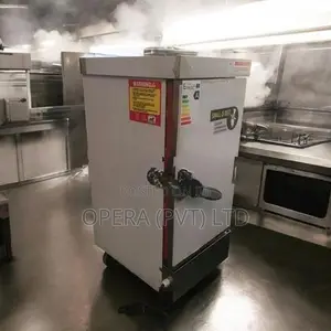 Electric Rice Steamer