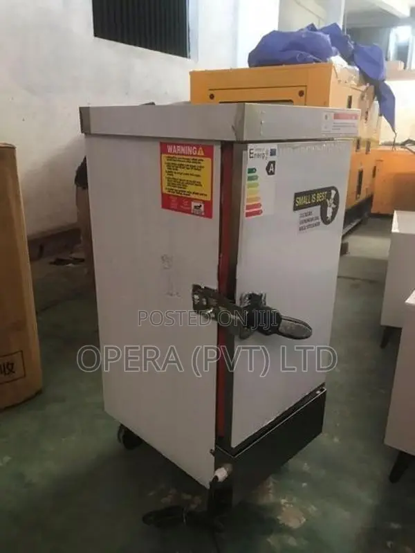 Electric Rice Steamer