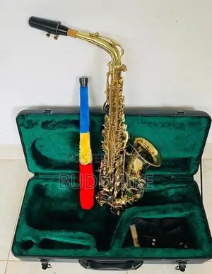 Alto Saxophone (Kearntner )