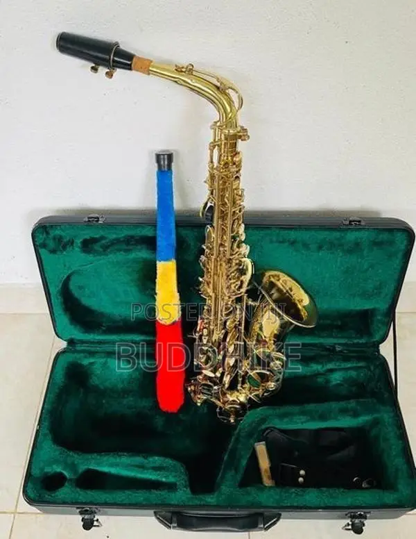 Alto Saxophone (Kearntner )