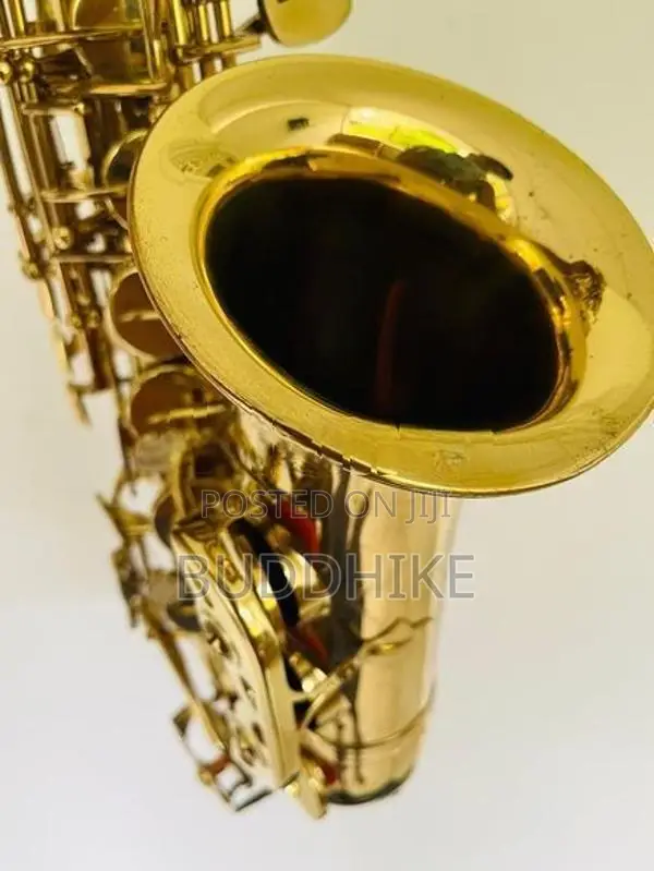 Alto Saxophone (Kearntner )