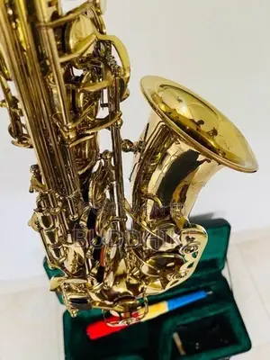 Alto Saxophone (Kearntner )
