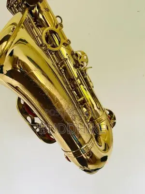 Alto Saxophone (Kearntner )