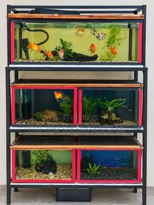 5 Fish Tank Set