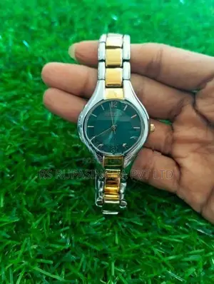 Citizen Gold Hand Silver Color Watch