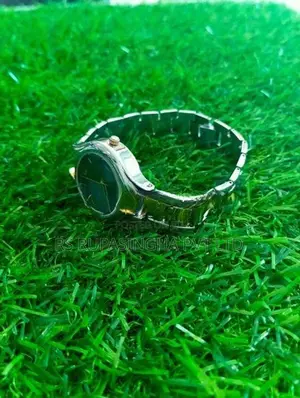 Citizen Gold Hand Silver Color Watch