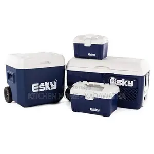 Esky Ice Box